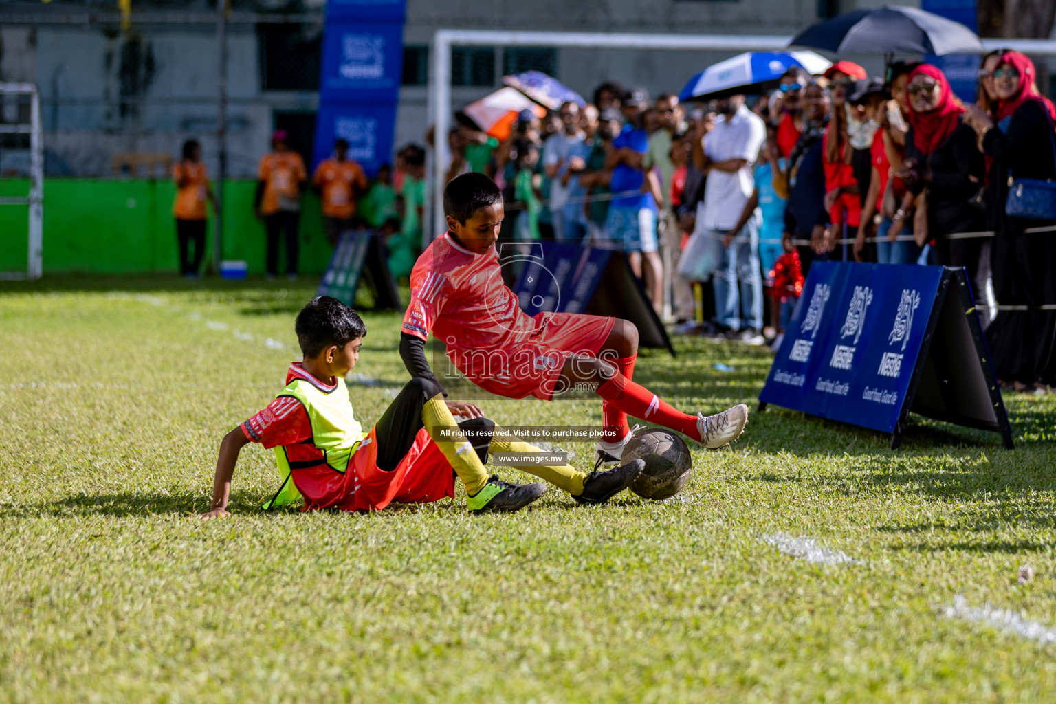 Day 4 of Nestle Kids Football Fiesta, held in Henveyru Football Stadium, Male', Maldives on Saturday, 14th October 2023 Photos: Mohamed Mahfooz Moosa, Hassan Simah / images.mv