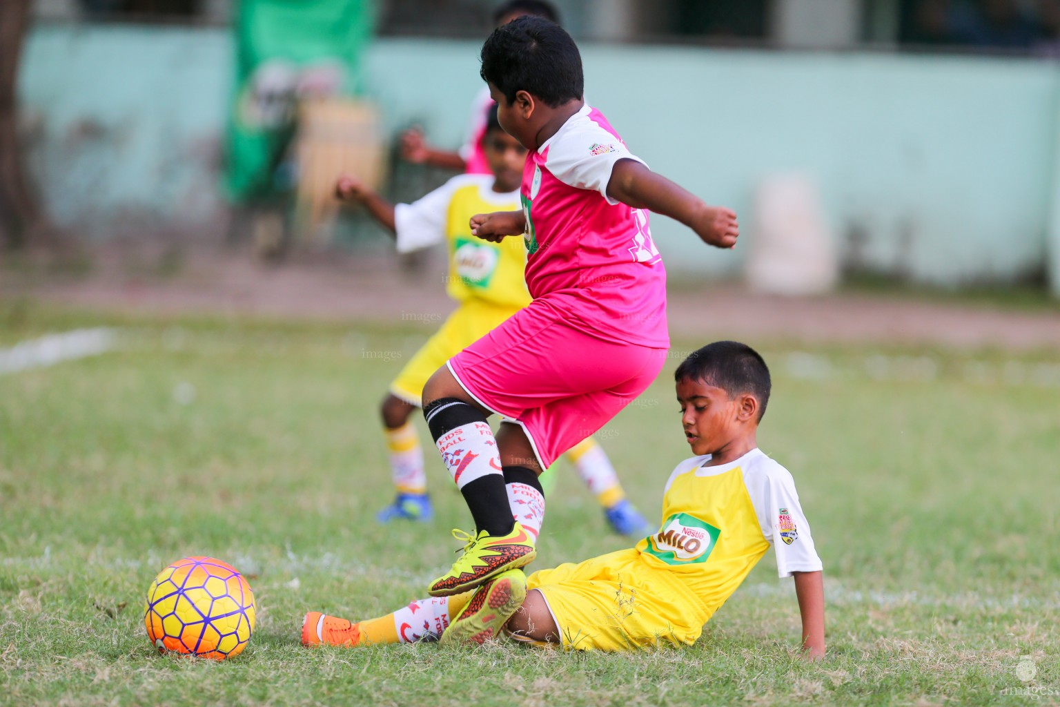 Day 1 of Milo Kids Football Fiesta in Male', Maldives, Wednesday, October. 12, 2016 (Images.mv Photo/ Hussain Sinan).