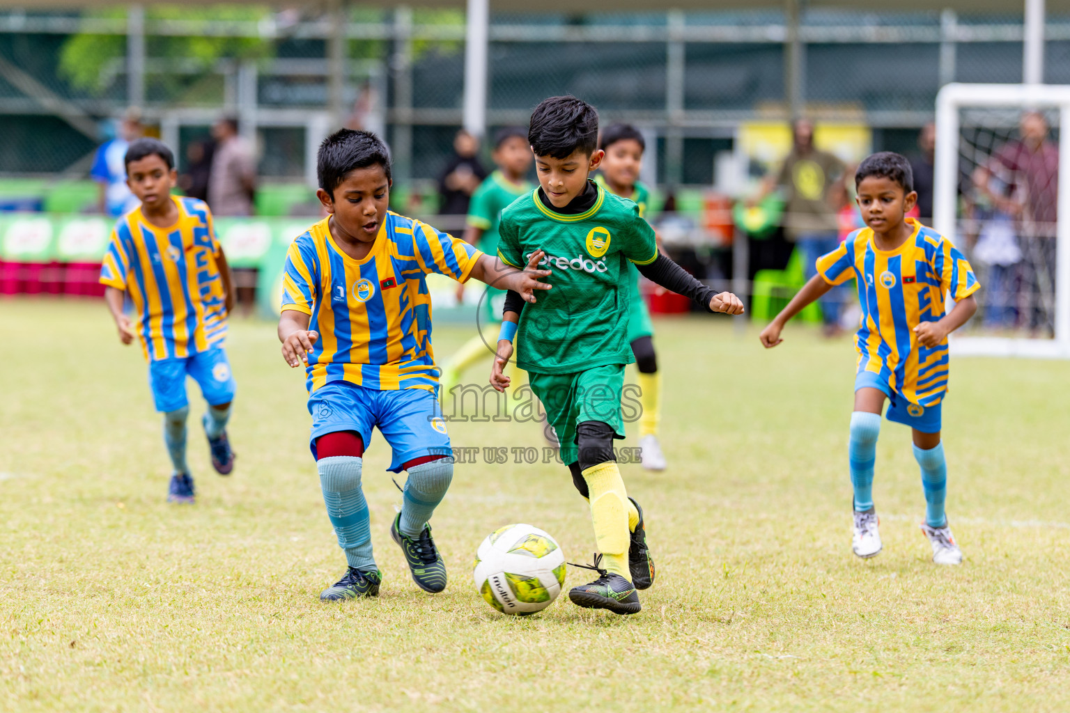 Day 1 of MILO SVAM Juniors 2025 (U-8) was held at Henveiru Stadium in Male', Maldives on Thursday, 26th June 2025. 
Photos: Hassan Simah / images.mv