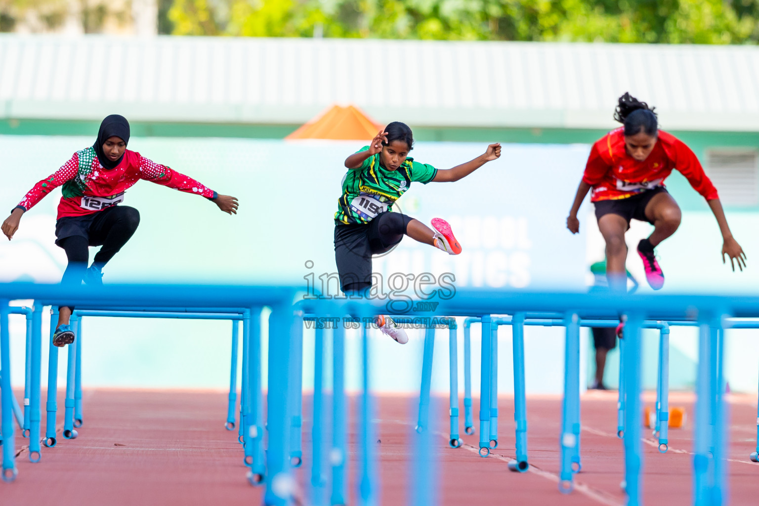 Day 4 of MWSC Interschool Athletics Championships 2024 held in Hulhumale Running Track, Hulhumale, Maldives on Tuesday, 12th November 2024. Photos by: Nausham Waheed / Images.mv