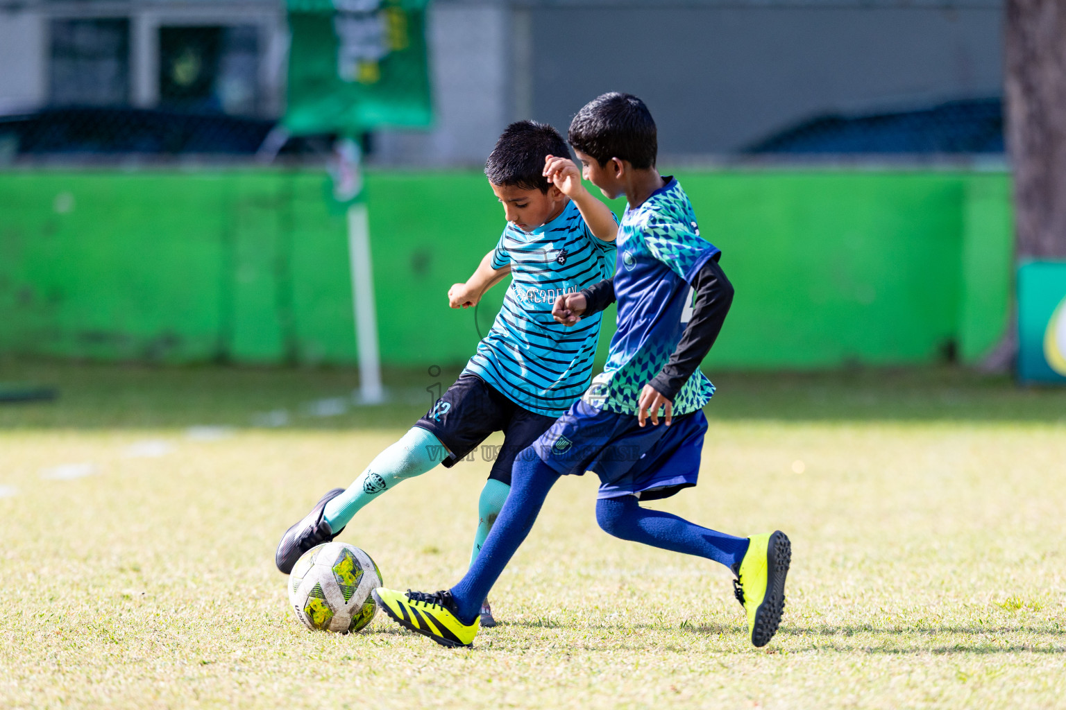 Day 2 of MILO SVAM Juniors 2025 (U-8) was held at Henveiru Stadium in Male', Maldives on Friday, 27th June 2025. 

Photos: Hassan Simah / images.mv