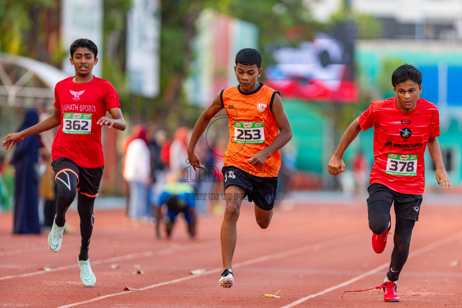 Day 2 of MILO Athletics Association Championship was held on Wednesday, 6th May 2024 in Male', Maldives. Photos: Nausham Waheed