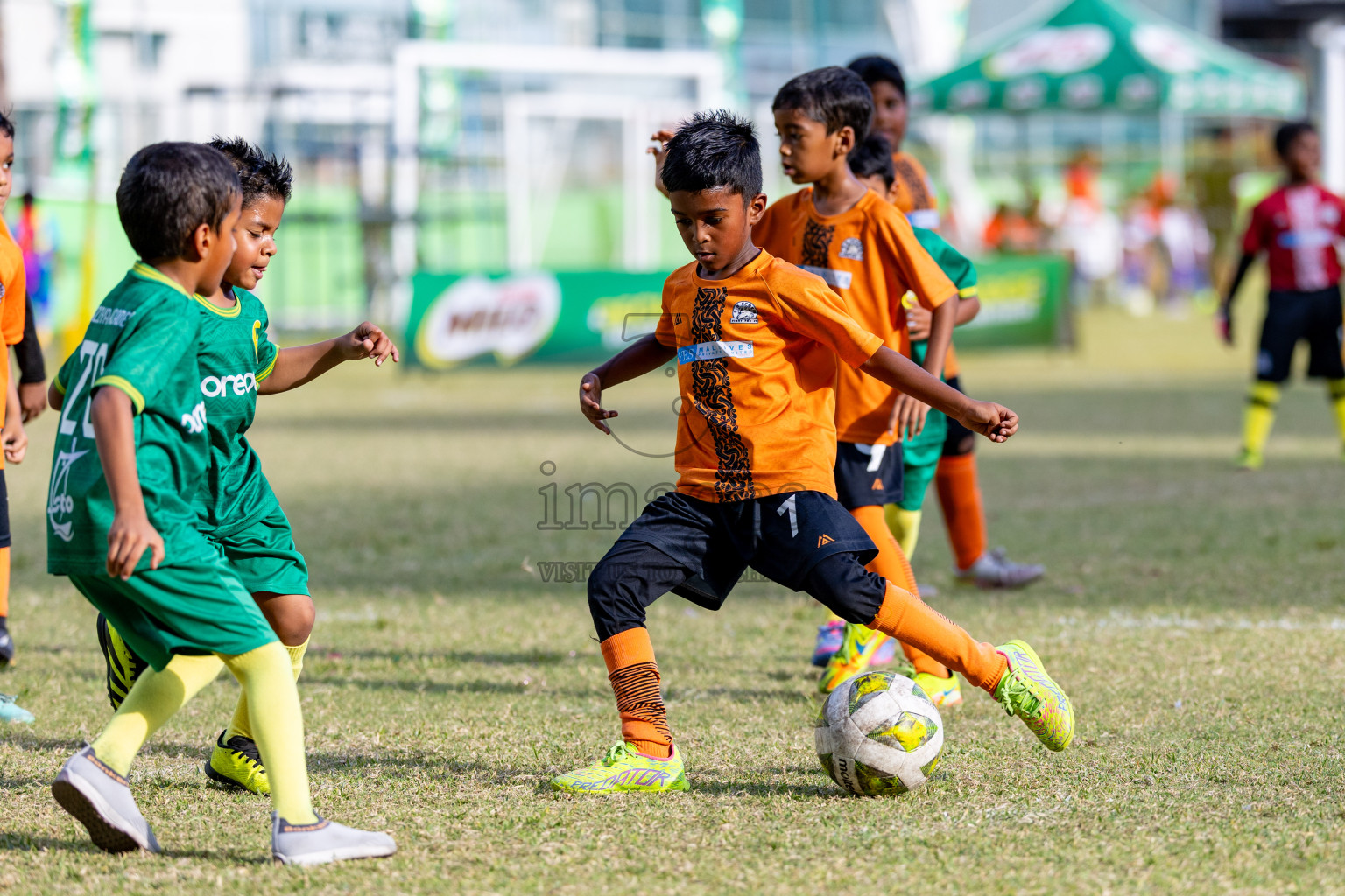 Day 2 of MILO SVAM Juniors 2025 (U-8) was held at Henveiru Stadium in Male', Maldives on Friday, 27th June 2025. 

Photos: Hassan Simah / images.mv