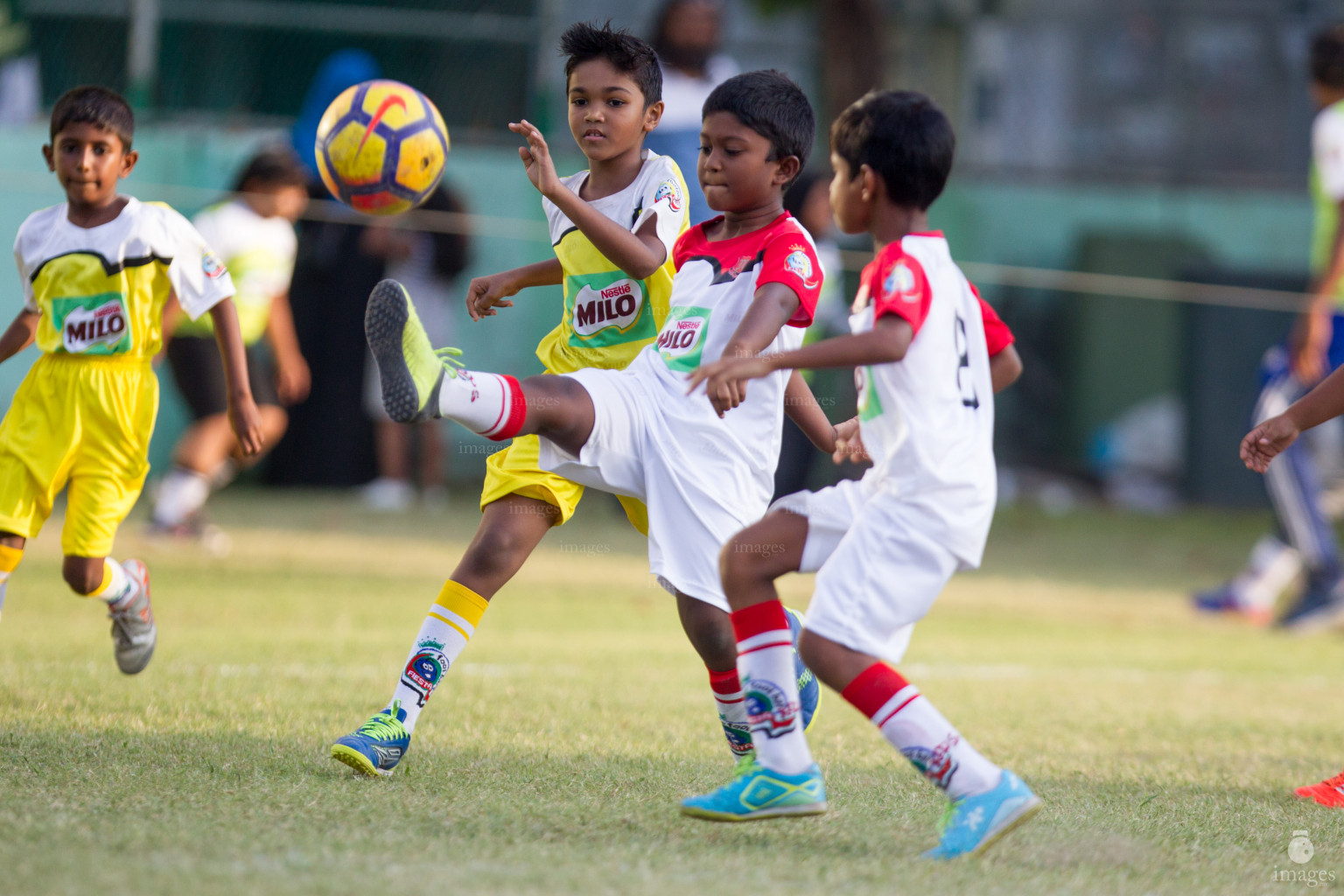 Day 3 of MILO Kids Football Fiesta in Henveiru Grounds in Male', Maldives, Friday, February 22nd 2019 (Images.mv Photo / Hassan Simah)