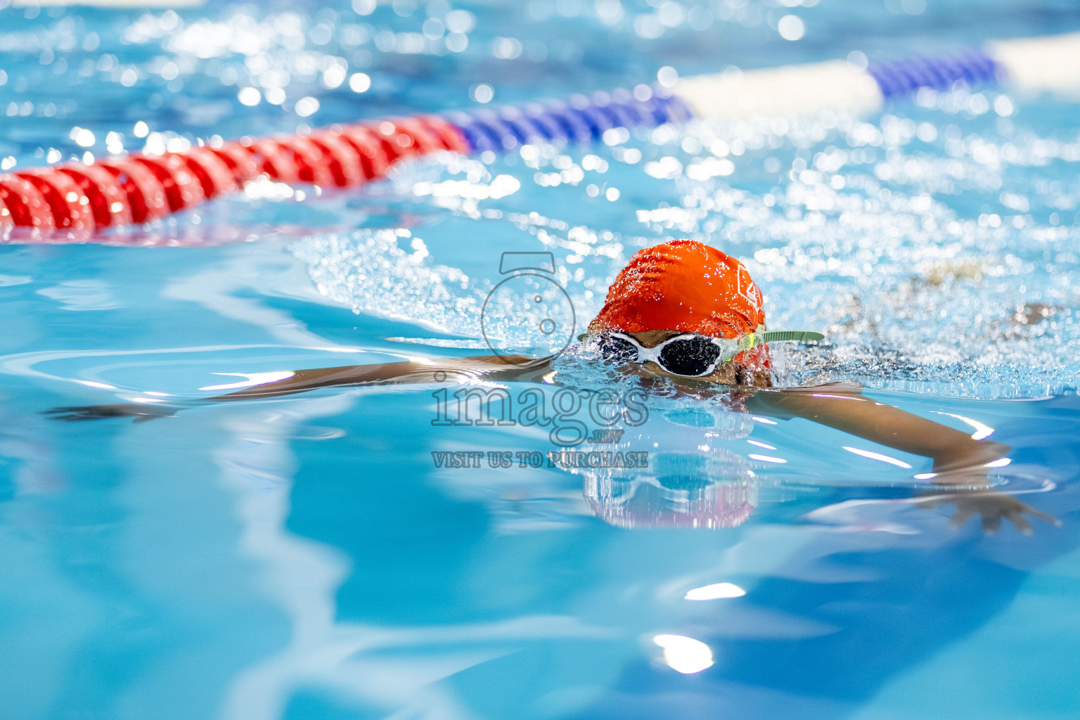 Day 4 of BML 6th National Kids Swimming Kids Festival 2025 held in Hulhumale', Maldives on Thursday, 6th November 2024. Photos: Hassan Simah / images.mv