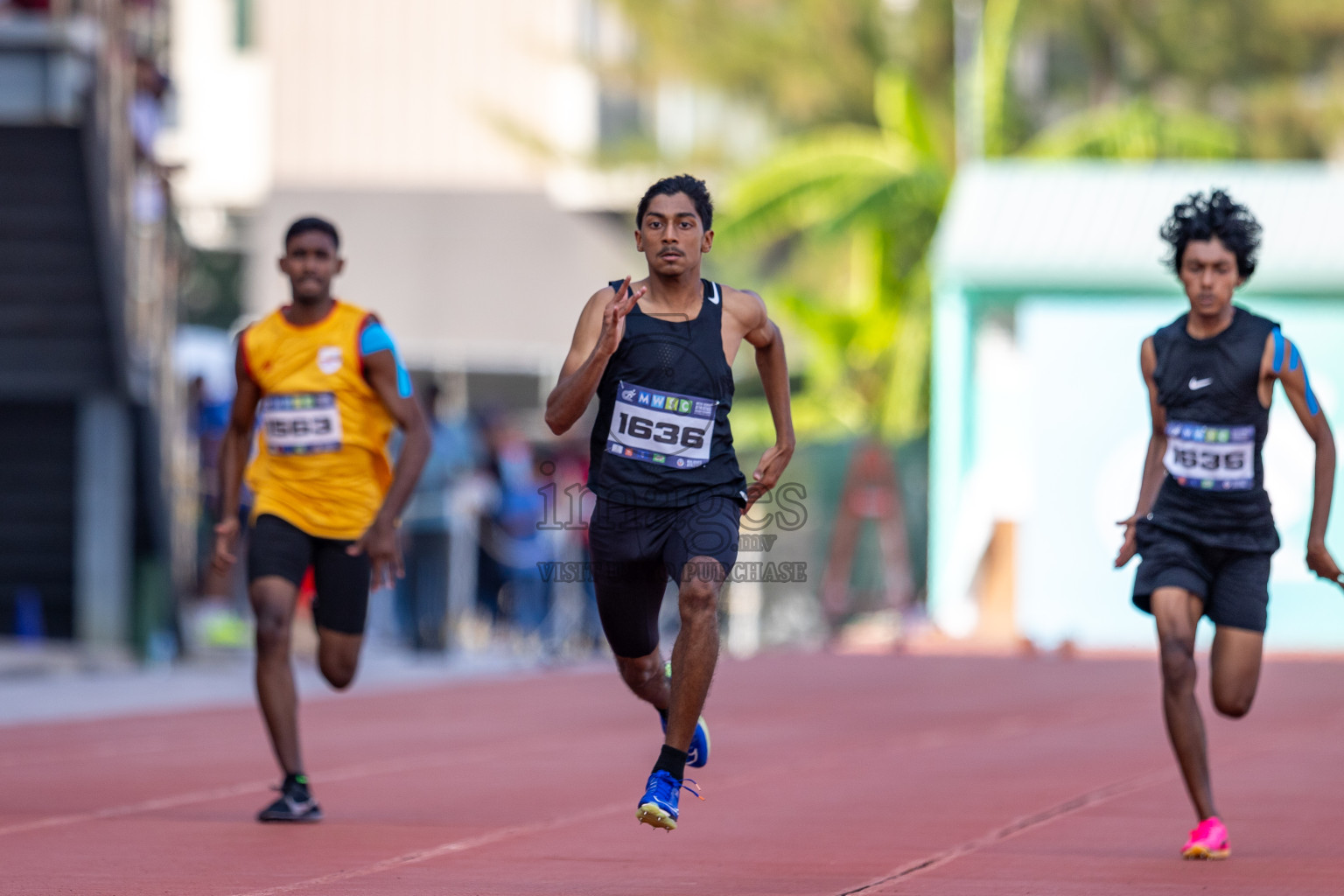 MWSC Interschool Athletics Championships 2024 - Day 3
Day 3 of MWSC Interschool Athletics Championships 2024 held in Hulhumale Running Track, Hulhumale, Maldives on Monday, 11th November 2024. Photos by: Ismail Thoriq / Images.mv