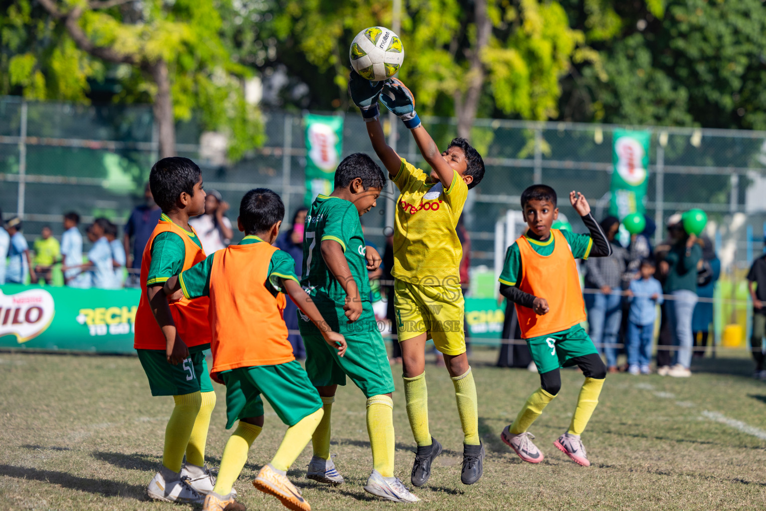 Day 2 of MILO Academy Championship 2025 was held on Friday, 14th February 2025 in Henveiru Stadium. 
Photos: Hassan Simah / Images.mv