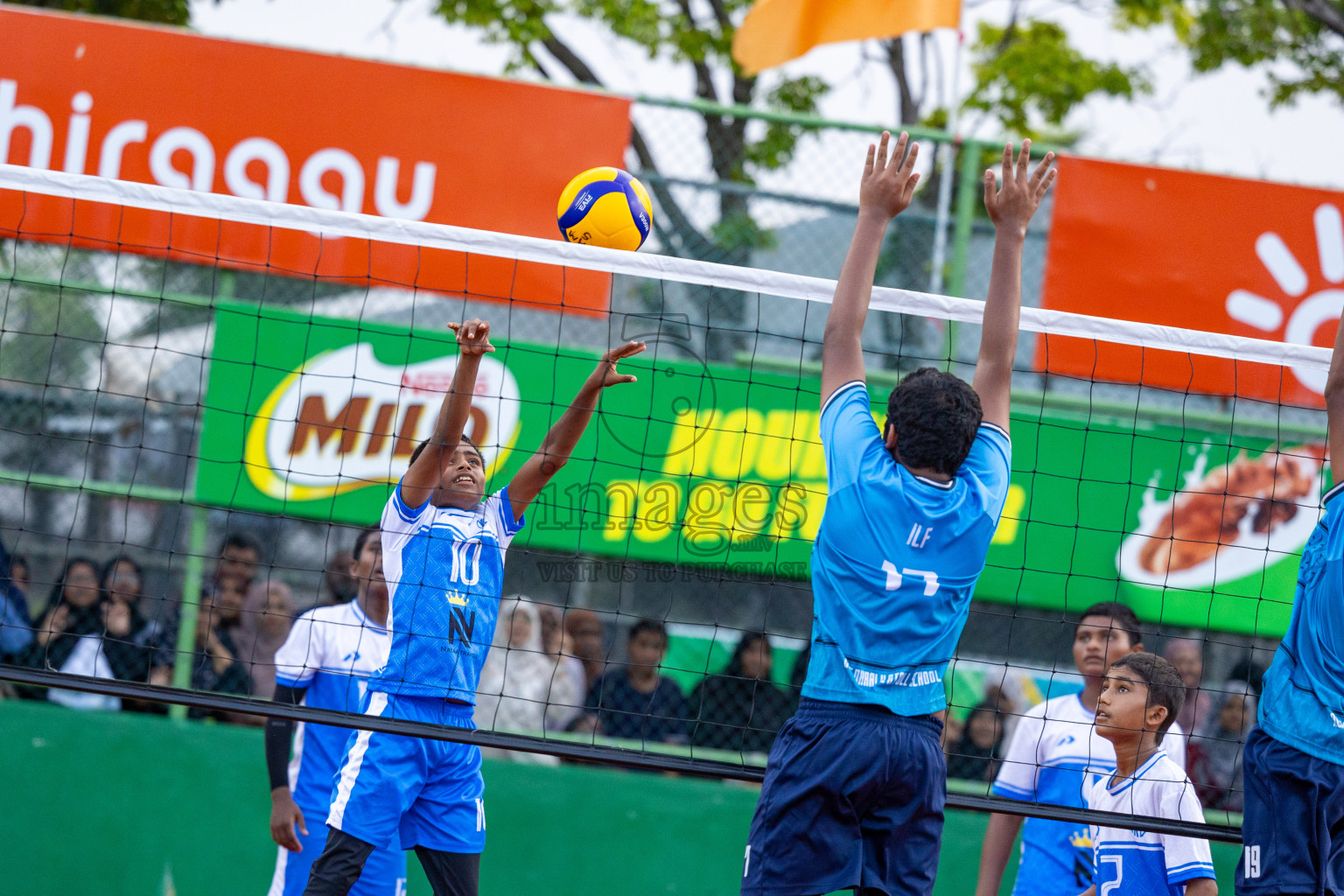 Day 6 of Interschool Volleyball Tournament 2024 was held in Ekuveni Volleyball Court at Male', Maldives on Thursday, 28th November 2024.
Photos: Ismail Thoriq / images.mv