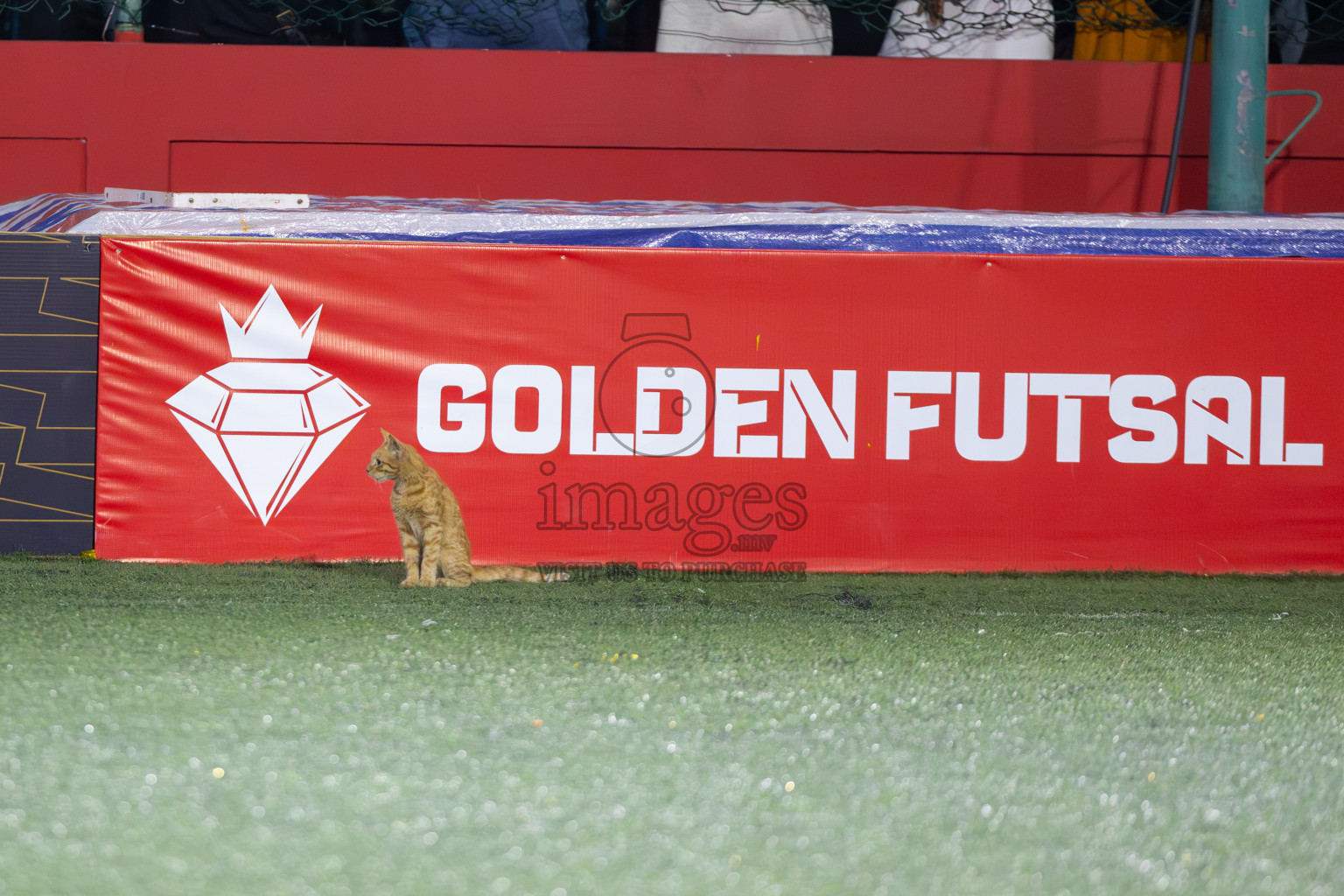 HA Ihavandhoo vs HA Muraidhoo in Day 5 of Golden Futsal Challenge 2025 on Thursday, 9th January 2025, in Hulhumale', Maldives
Photos: Ismail Thoriq / images.mv