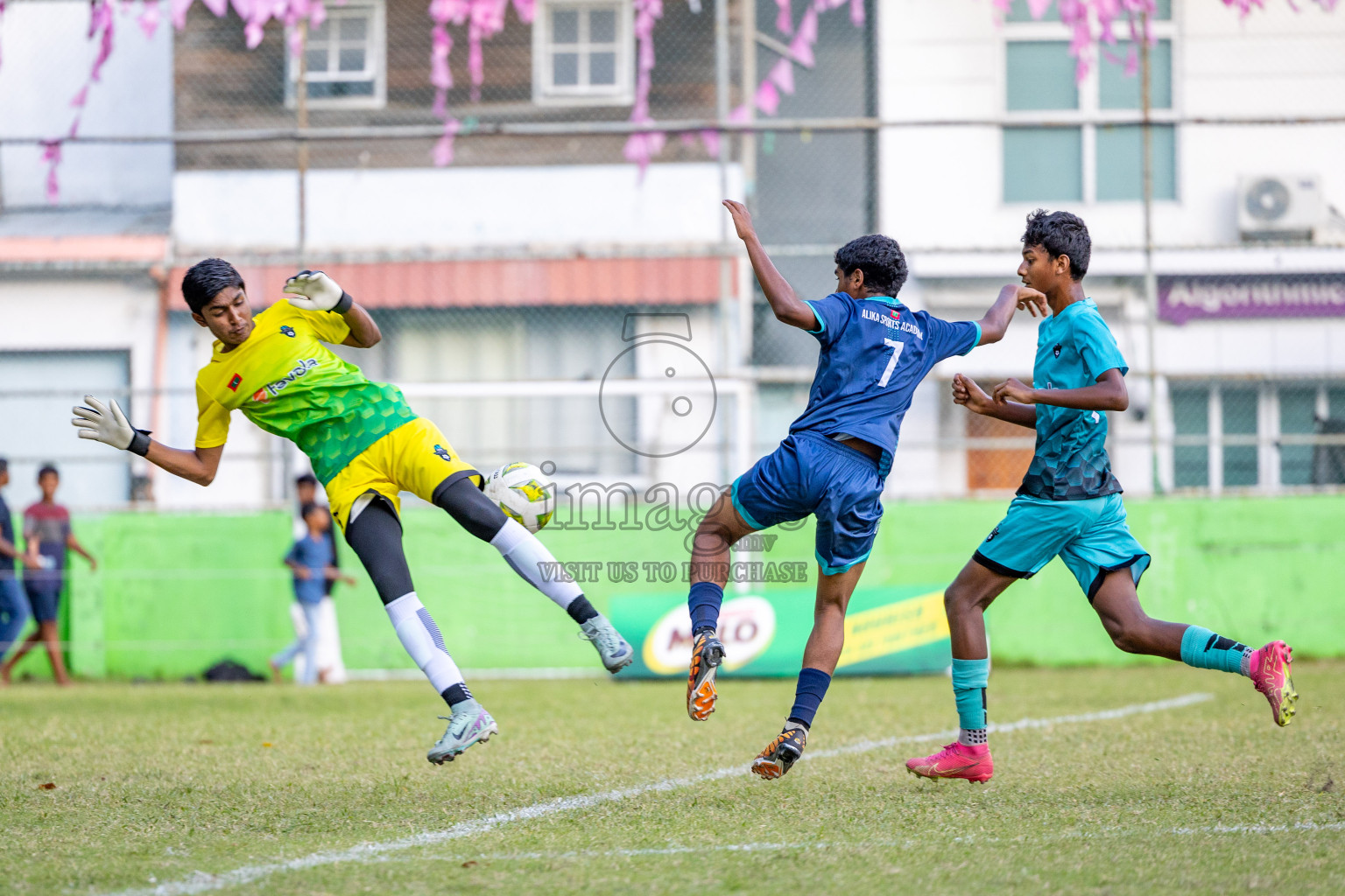 Day 2 of MILO Academy Championship 2024 (U-14) was held in Henveyru Stadium, Male', Maldives on Saturday, 2nd November 2024.
Photos: Ismail Thoriq / Images.mv