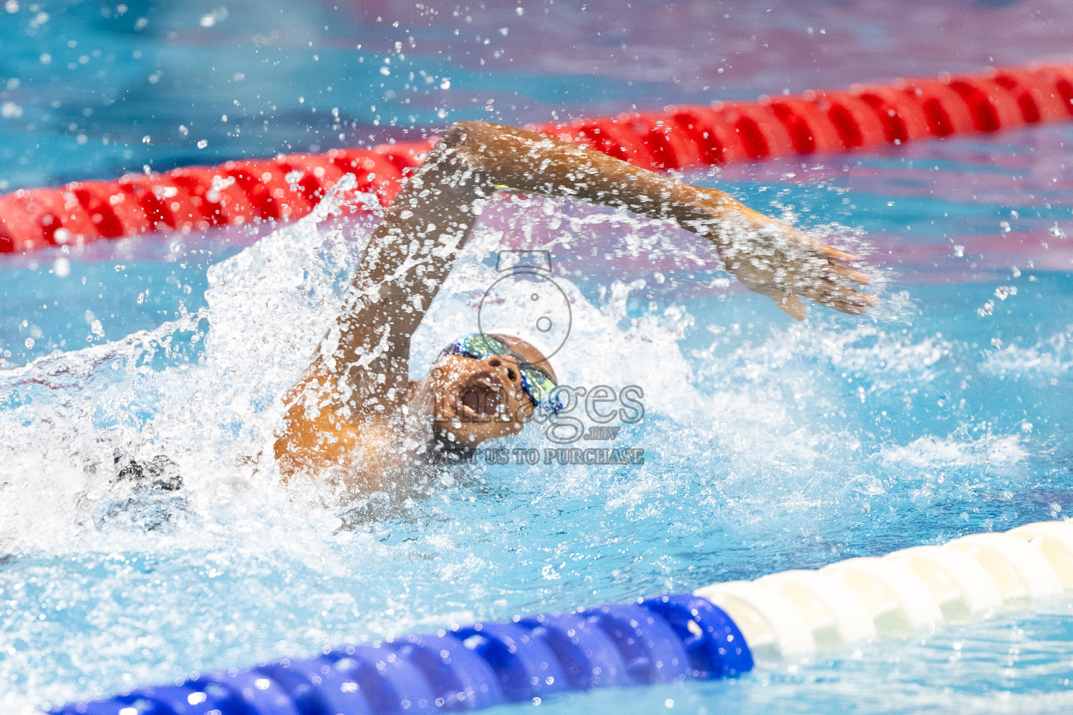 Day 4 of BML 21st Interschool Swimming Competition 2025 was held in Hulhumale' Swimming Pool, Hulhumale', Maldives on Tuesday, 14th October 2025. Photos: Mohamed Mahfooz Moosa / images.mv