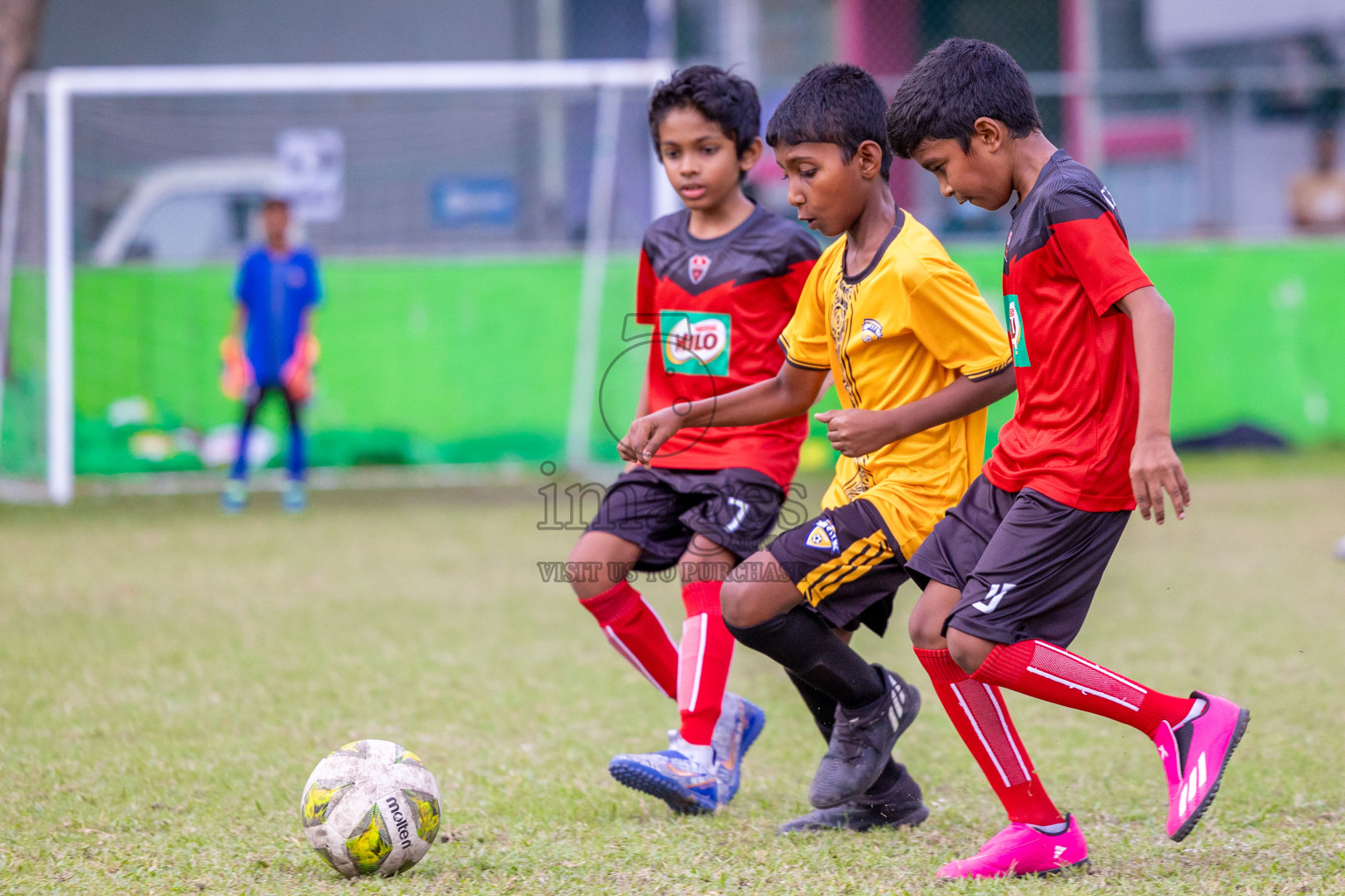 Day 1 of MILO Academy Championship 2024 - U12 was held at Henveiru Grounds in Male', Maldives on Thursday, 4th July 2024. Photos: Shuu Abdul Sattar / images.mv