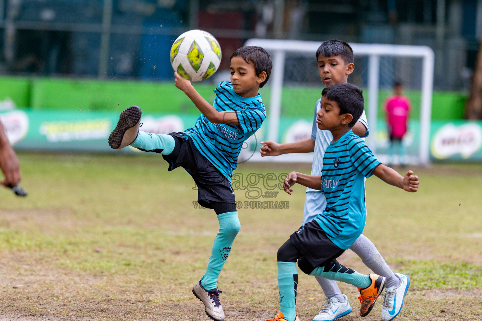 Day 3 of MILO SVAM Juniors 2025 (U-8) was held at Henveiru Stadium in Male', Maldives on Saturday, 28th June 2025. 
Photos: Hassan Simah / images.mv