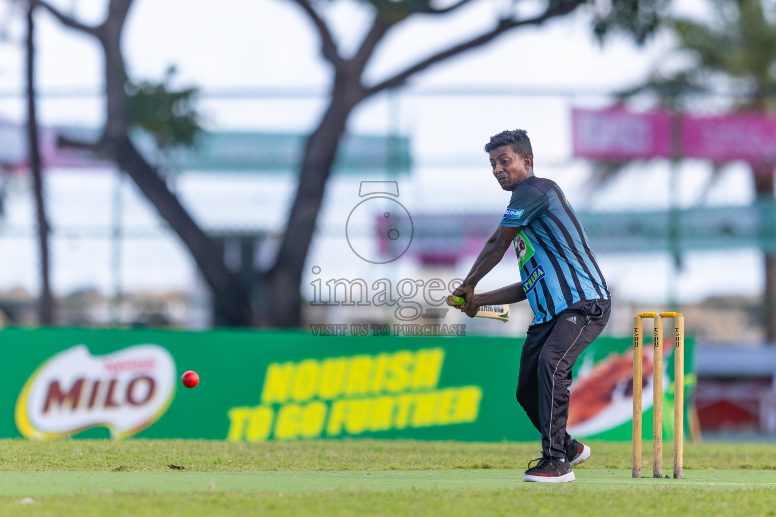 Semi Finals of Ramadan Cricket Carnival (Company Tournament) was held at Ekuveni Grounds on Monday, 8th April 2024. 
Photos: Ismail Thoriq / images.mv