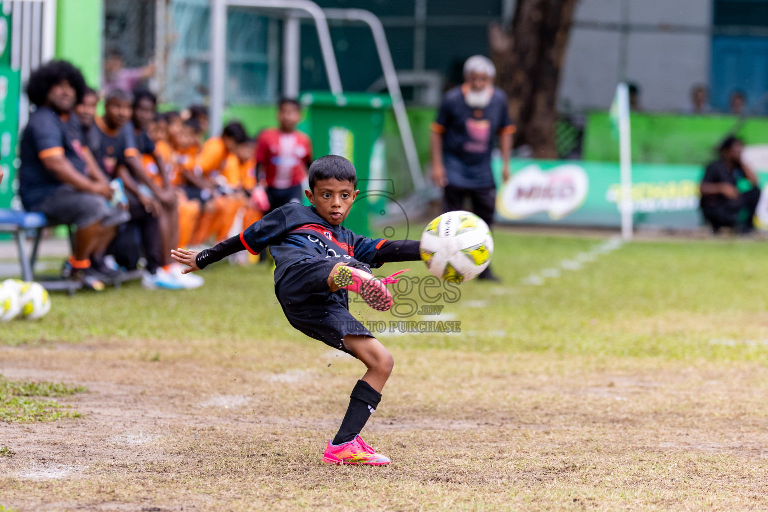 Day 3 of MILO SVAM Juniors 2025 (U-8) was held at Henveiru Stadium in Male', Maldives on Saturday, 28th June 2025. 
Photos: Hassan Simah / images.mv