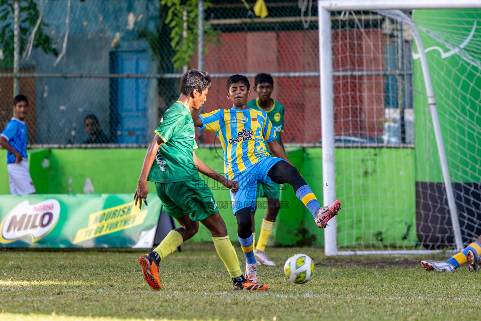 Day 4 of MILO Academy Championship 2024 (U-14) was held in Henveyru Stadium, Male', Maldives on Sunday, 3rd November 2024. 
Photos: Hassan Simah / Images.mv