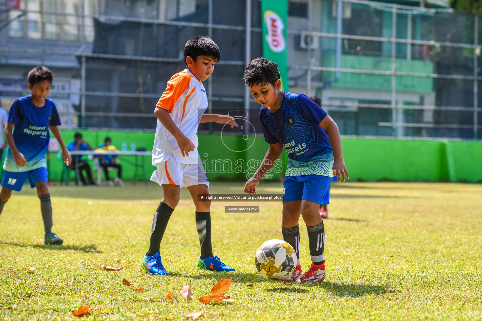 Day 2 of MILO Academy Championship 2022 held in Male' Maldives on Friday, 12th March 2021. Photos by: Nausham Waheed