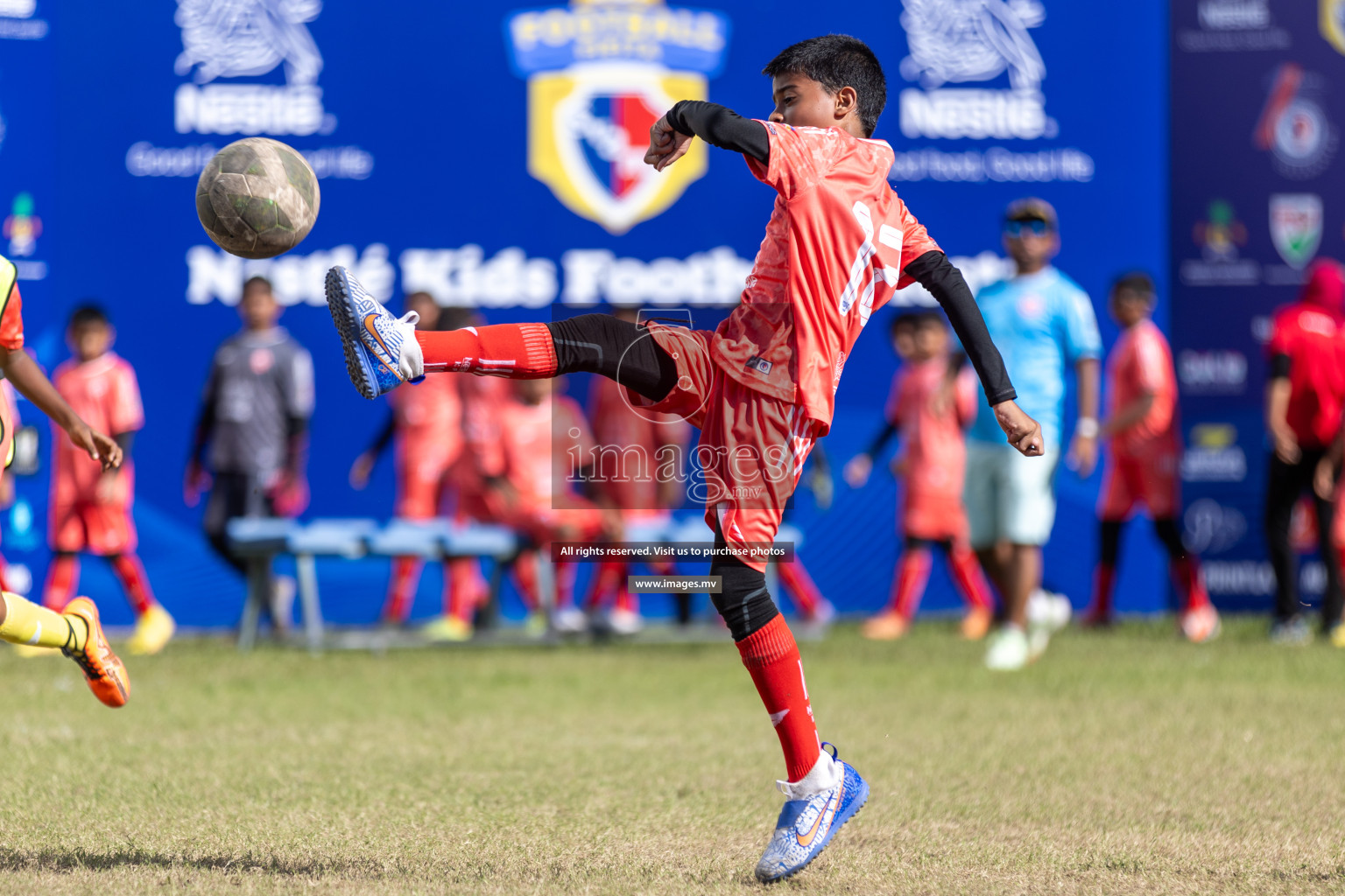 Day 4 of Nestle Kids Football Fiesta, held in Henveyru Football Stadium, Male', Maldives on Saturday, 14th October 2023
Photos: Mohamed Mahfooz Moosa, Hassan Simah / images.mv