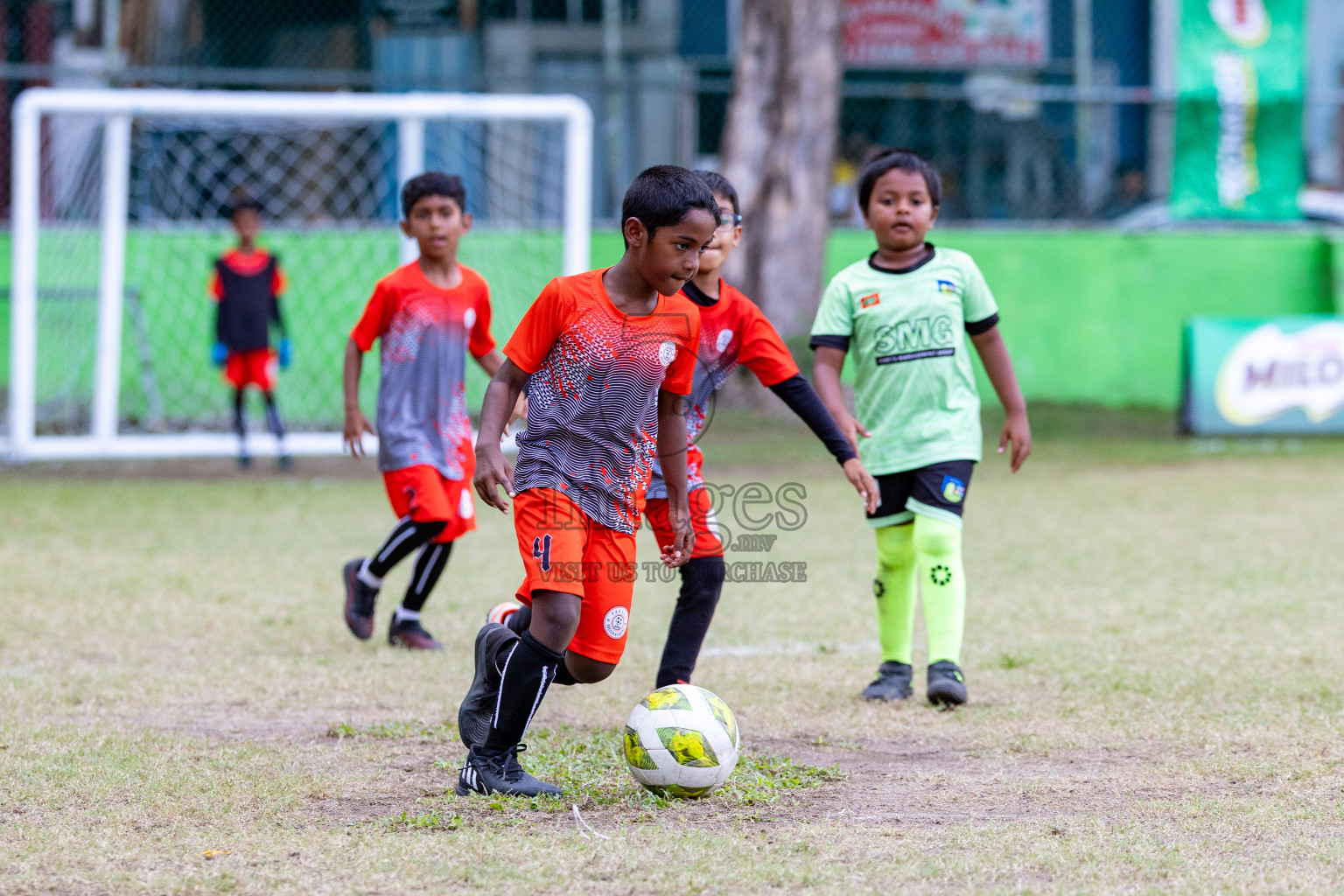 Day 2 of MILO SVAM Juniors 2025 (U-8) was held at Henveiru Stadium in Male', Maldives on Friday, 27th June 2025. 

Photos: Hassan Simah / images.mv