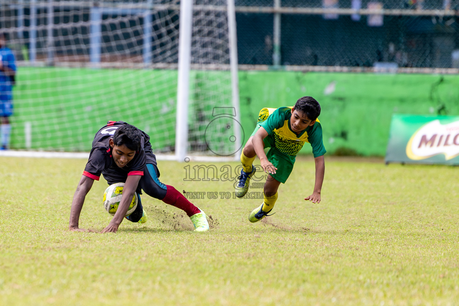 Day 3 of MILO Academy Championship 2024 (U-14) was held in Henveyru Stadium, Male', Maldives on Saturday, 2nd November 2024.
Photos: Hassan Simah / Images.mv