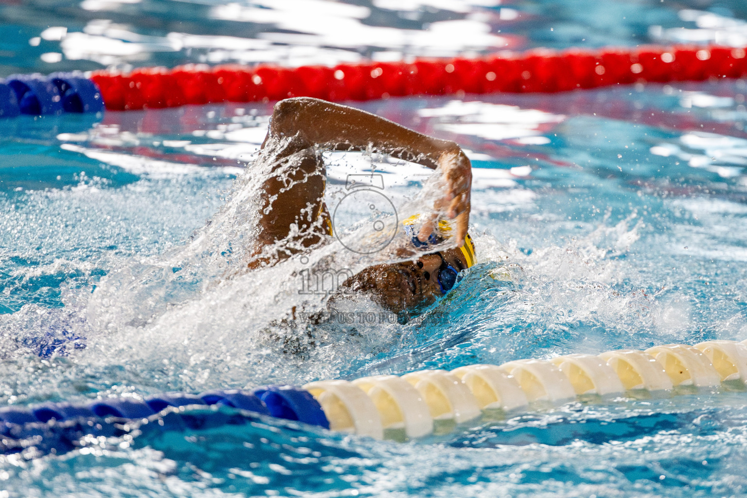 Day 4 of National Swimming Competition 2024 held in Hulhumale', Maldives on Monday, 16th December 2024. 
Photos: Hassan Simah / images.mv