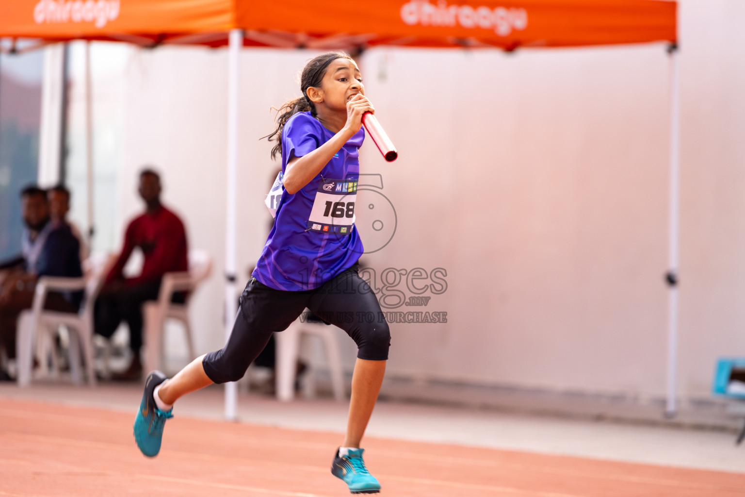 Day 6 of MWSC Interschool Athletics Championships 2024 held in Hulhumale Running Track, Hulhumale, Maldives on Thursday, 14th November 2024. Photos by: Ismail Thoriq / Images.mv