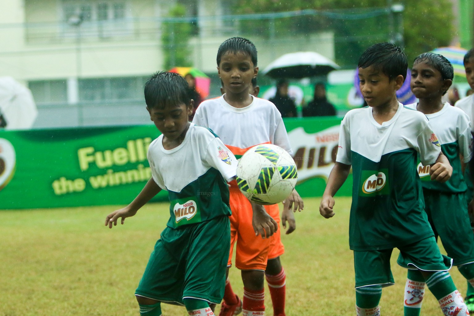 Day 3 of Milo Kids Football Fiesta in Henveiru Grounds  in Male', Maldives, Saturday, April. 09, 2016. (Images.mv Photo/Abdulla Abeedh).