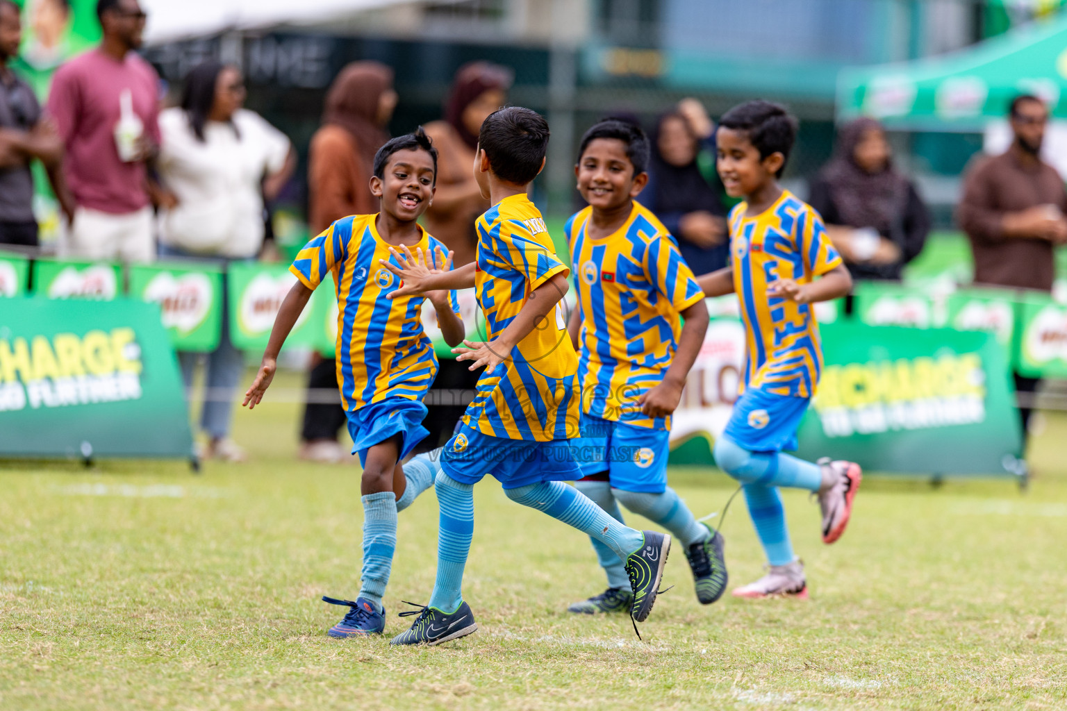 Day 1 of MILO SVAM Juniors 2025 (U-8) was held at Henveiru Stadium in Male', Maldives on Thursday, 26th June 2025. 
Photos: Hassan Simah / images.mv