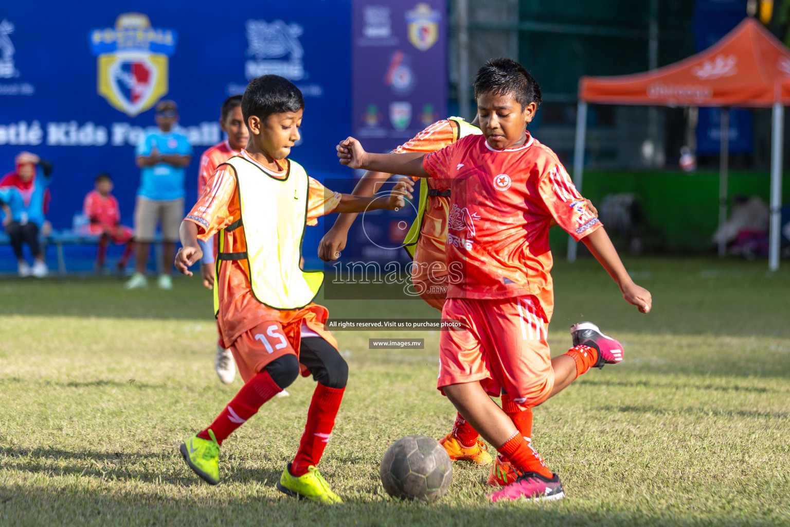 Day 3 of Nestle Kids Football Fiesta, held in Henveyru Football Stadium, Male', Maldives on Friday, 13th October 2023
Photos: Hassan Simah, Ismail Thoriq / images.mv