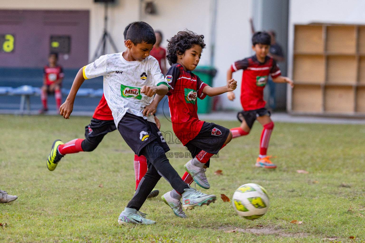 Day 2 of MILO Academy Championship 2025 was held on Friday, 14th February 2025 in Henveiru Stadium. 
Photos: Hassan Simah / Images.mv