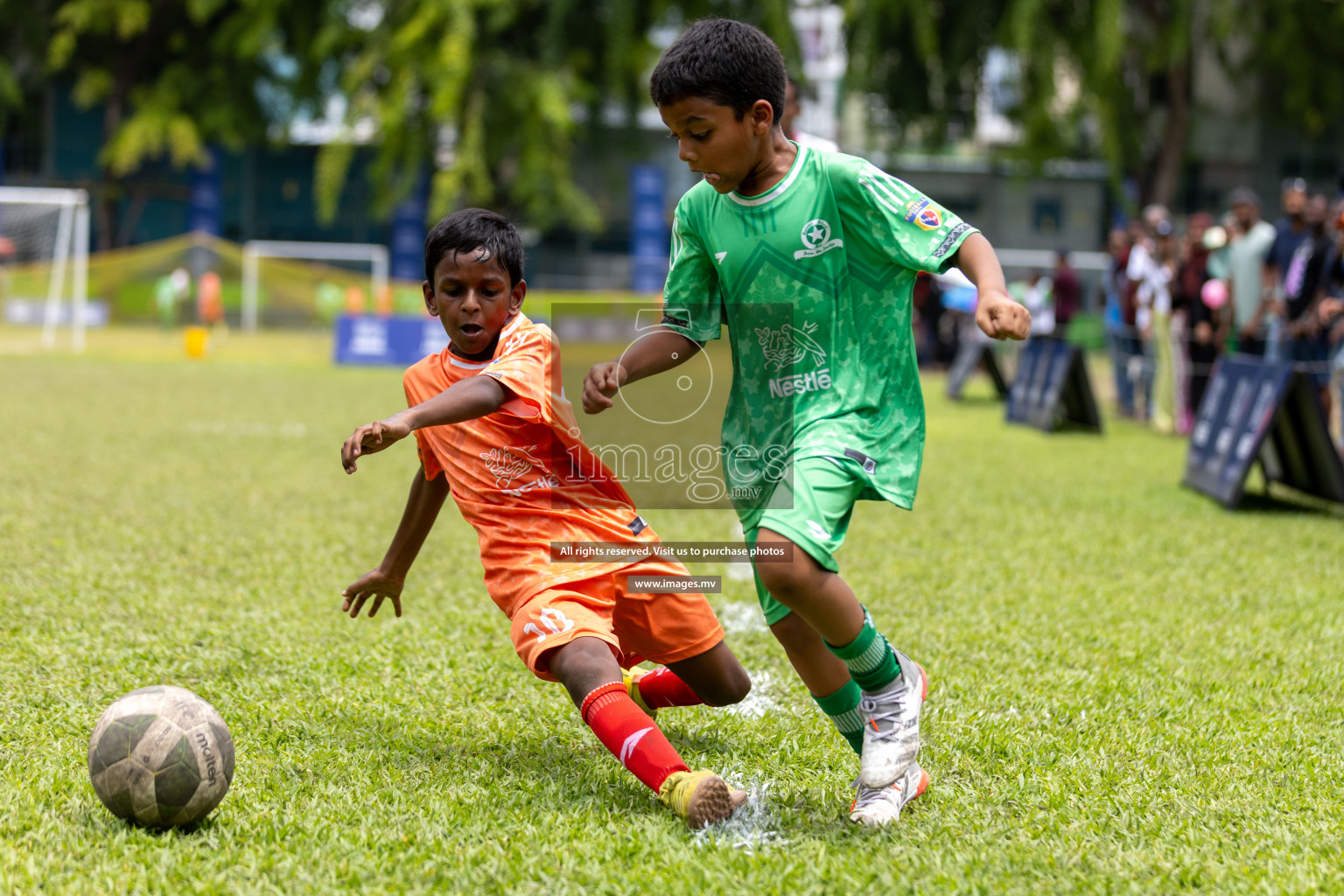 Day 4 of Nestle Kids Football Fiesta, held in Henveyru Football Stadium, Male', Maldives on Saturday, 14th October 2023
Photos: Mohamed Mahfooz Moosa, Hassan Simah / images.mv