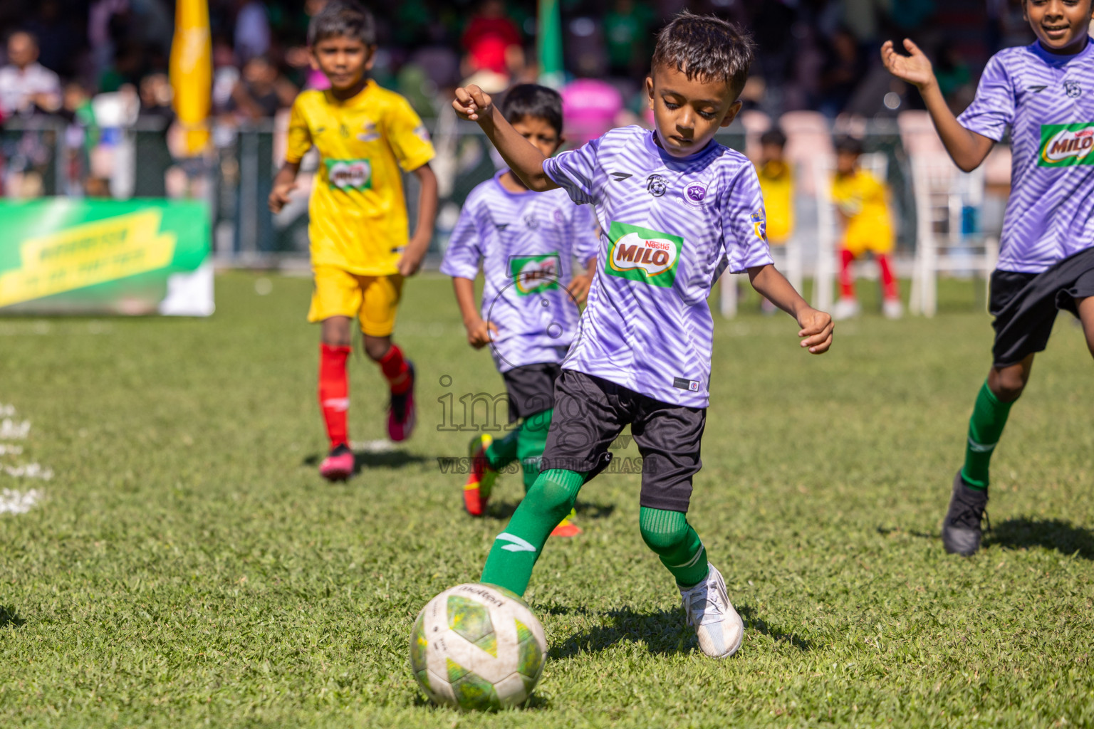 Day 1 of MILO Kids Football Fiesta was held at National Stadium in Male', Maldives on Friday, 23rd February 2024. 
Photos: Ismail Thoriq / images.mv