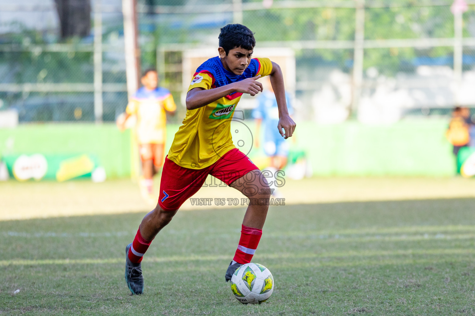 Day 3 of MILO Academy Championship 2024 (U-14) was held in Henveyru Stadium, Male', Maldives on Saturday, 2nd November 2024.
Photos: Ismail Thoriq, Images.mv