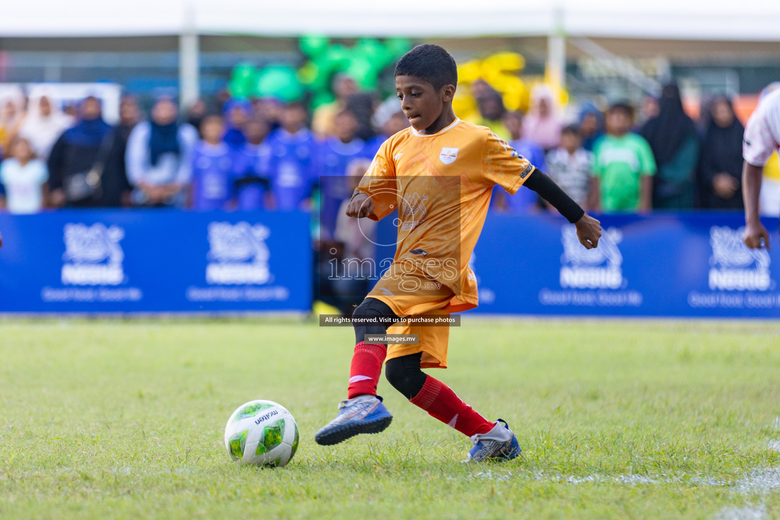 Nestle Kids Football Fiesta 2023 - Day 4
Day 4 of Nestle Kids Football Fiesta, held in Henveyru Football Stadium, Male', Maldives on Saturday, 14th October 2023 Photos: Nausham Waheed / images.mv