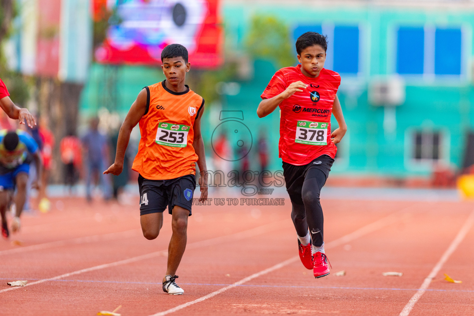 Day 2 of MILO Athletics Association Championship was held on Wednesday, 6th May 2024 in Male', Maldives. Photos: Nausham Waheed