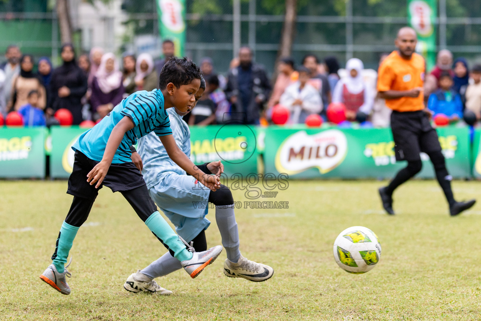 Day 3 of MILO SVAM Juniors 2025 (U-8) was held at Henveiru Stadium in Male', Maldives on Saturday, 28th June 2025. 
Photos: Hassan Simah / images.mv