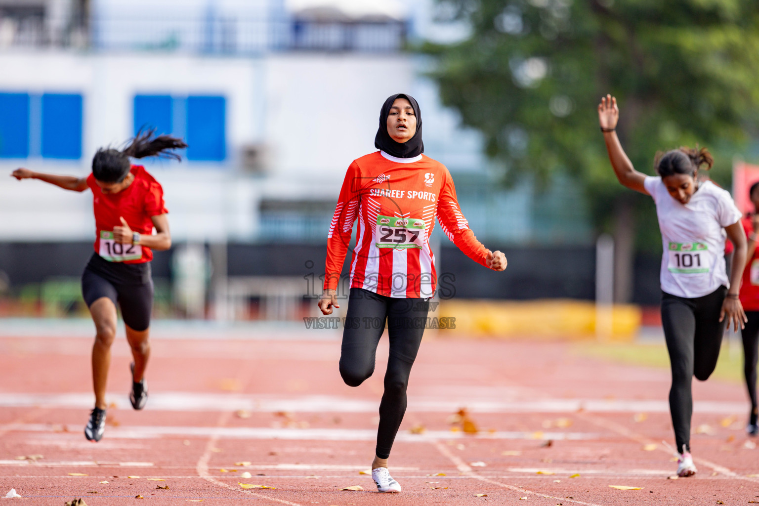 Day 2 of 12th Milo Association Championships was held in Ekuveni Track at Male', Maldives on Friday, 25th April 2025. 
Photos: Hassan Simah / images.mv