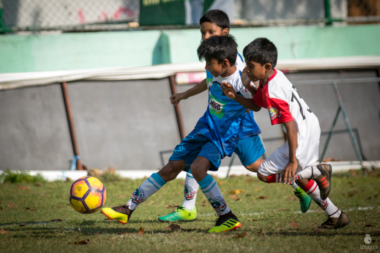 Day 1 of Milo Kids Football Fiesta in Henveiru Grounds in Male', Maldives, Thursday, February 20th 2019 (Images.mv Photo/Ismail Thoriq)