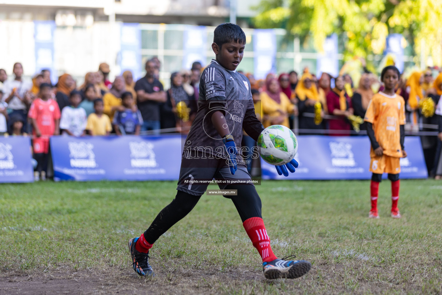 Nestle Kids Football Fiesta 2023 - Day 4
Day 4 of Nestle Kids Football Fiesta, held in Henveyru Football Stadium, Male', Maldives on Saturday, 14th October 2023 Photos: Nausham Waheed / images.mv