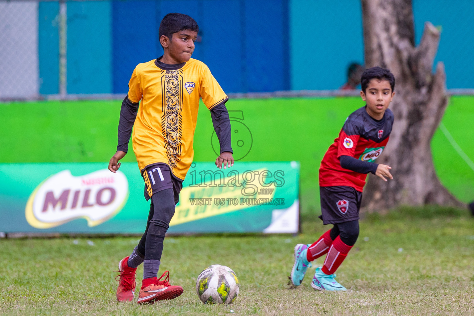 Day 1 of MILO Academy Championship 2024 - U12 was held at Henveiru Grounds in Male', Maldives on Thursday, 4th July 2024. Photos: Shuu Abdul Sattar / images.mv