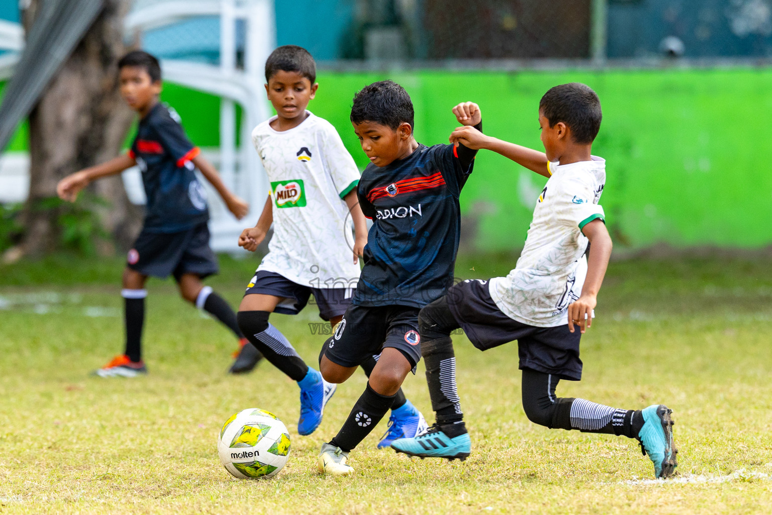 Day 2 of MILO SVAM Juniors 2025 (U-8) was held at Henveiru Stadium in Male', Maldives on Friday, 27th June 2025. Photos: Mohamed Mahfooz Moosa / images.mv