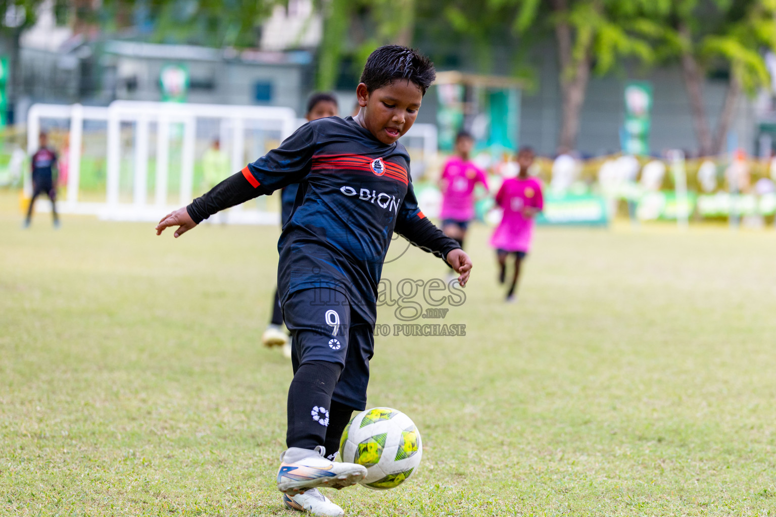 Day 2 of MILO SVAM Juniors 2025 (U-8) was held at Henveiru Stadium in Male', Maldives on Friday, 27th June 2025. 

Photos: Hassan Simah / images.mv