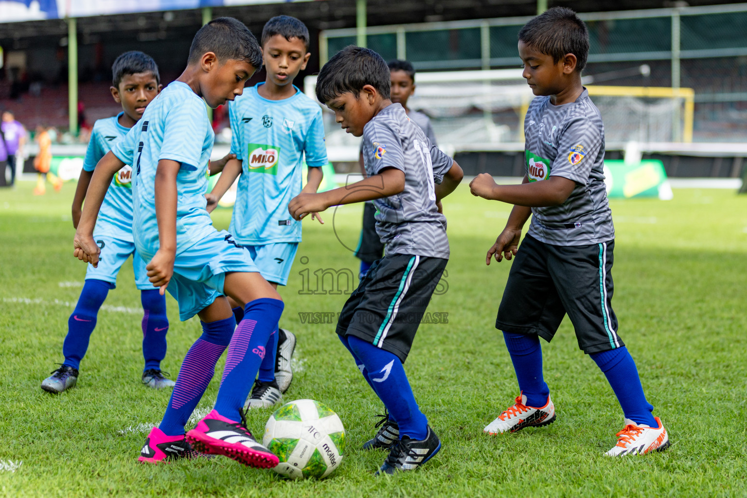 Day 1 of MILO Kids Football Fiesta was held at National Stadium in Male', Maldives on Friday, 23rd February 2024. 
Photos: Hassan Simah / images.mv