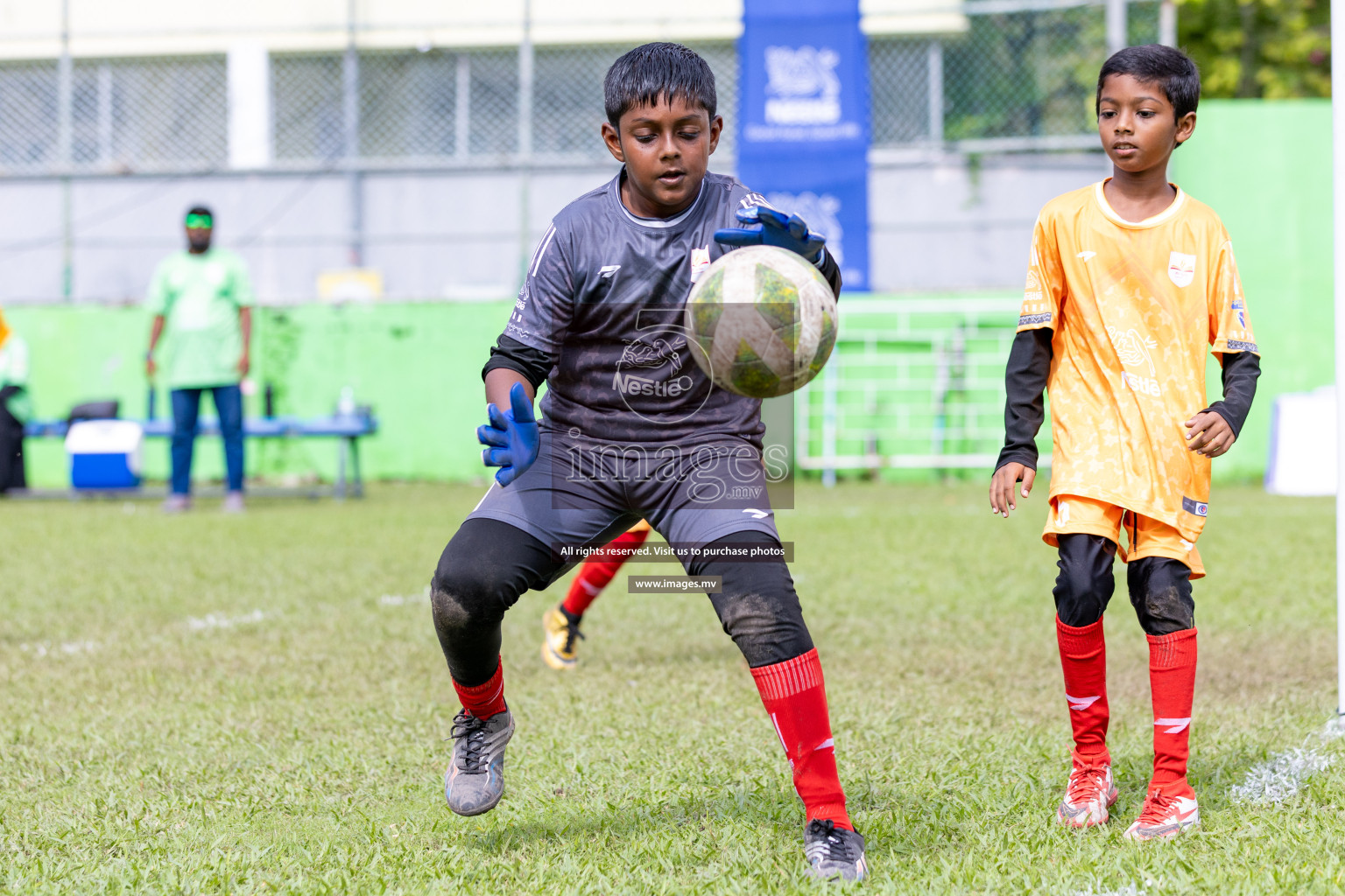 Day 2 of Nestle kids football fiesta, held in Henveyru Football Stadium, Male', Maldives on Thursday, 12th October 2023 Photos: Nausham Waheed/ Shuu Abdul Sattar Images.mv