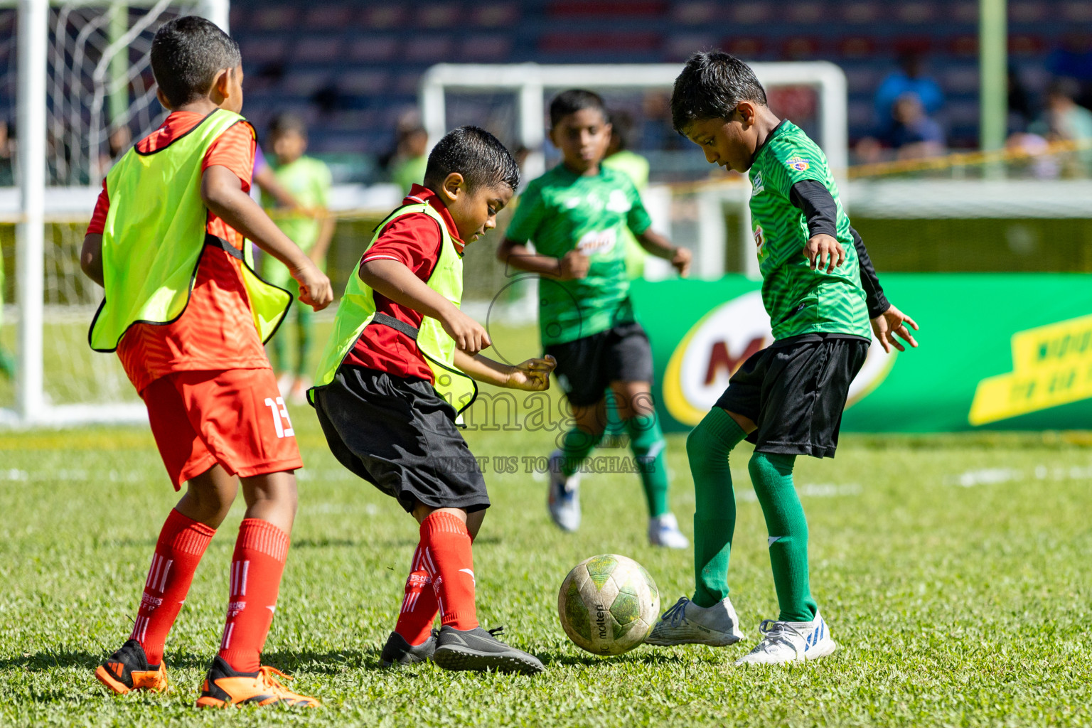 Day 1 of MILO Kids Football Fiesta was held at National Stadium in Male', Maldives on Friday, 23rd February 2024. 
Photos: Hassan Simah / images.mv