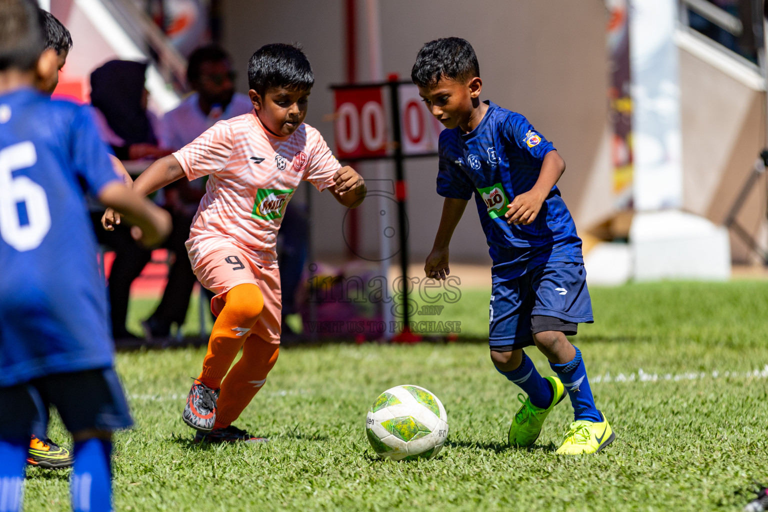 Day 1 of MILO Kids Football Fiesta was held at National Stadium in Male', Maldives on Friday, 23rd February 2024. 
Photos: Hassan Simah / images.mv