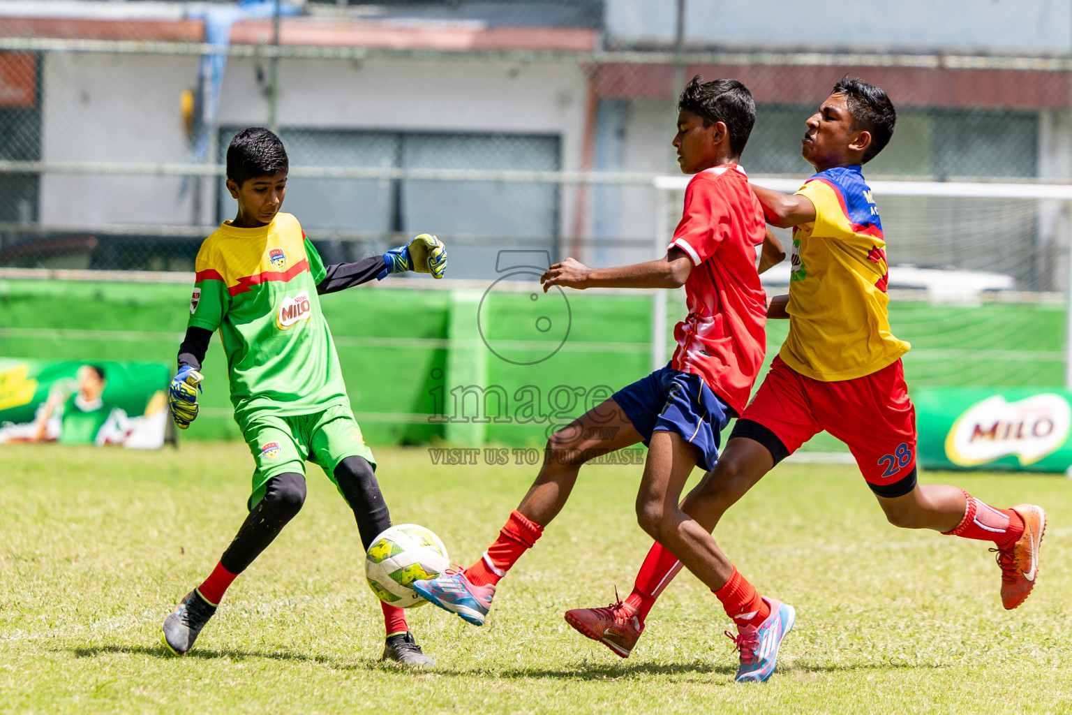 Day 3 of MILO Academy Championship 2024 (U-14) was held in Henveyru Stadium, Male', Maldives on Saturday, 2nd November 2024.
Photos: Hassan Simah / Images.mv