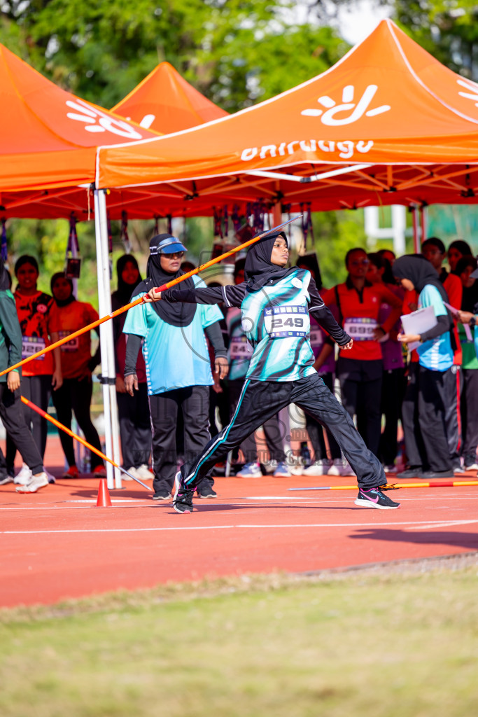 Day 3 of MWSC Interschool Athletics Championships 2024 held in Hulhumale Running Track, Hulhumale, Maldives on Monday, 11th November 2024. Photos by: Nausham Waheed / Images.mv