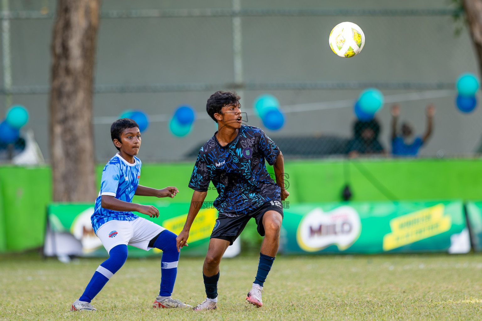 Day 4 of MILO Academy Championship 2024 (U-14) was held in Henveyru Stadium, Male', Maldives on Sunday, 3rd November 2024. Photos: Ismail Thoriq / Images.mv