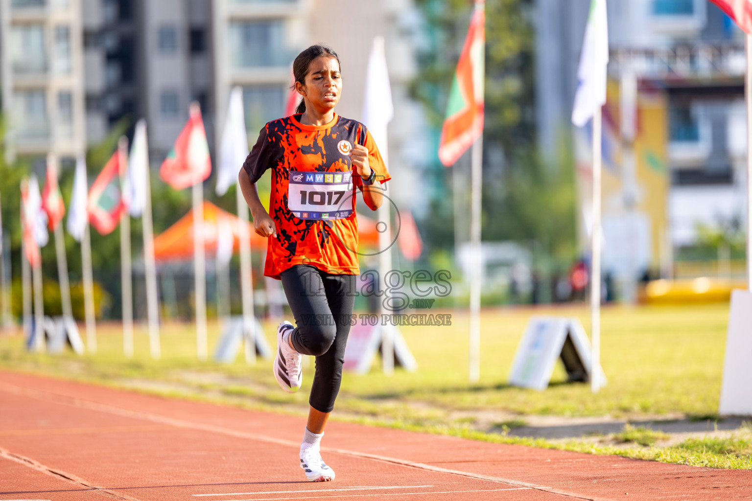 Day 4 of MWSC Interschool Athletics Championships 2024 held in Hulhumale Running Track, Hulhumale, Maldives on Tuesday, 12th November 2024. Photos by: Raaif Yoosuf / Images.mv